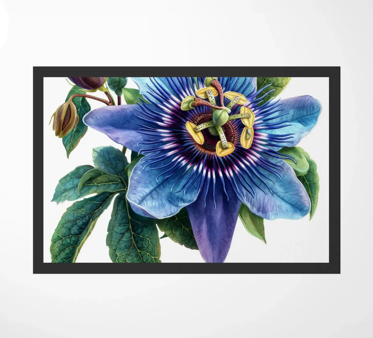 Passiflora 1 zerbino da Bold Blooms