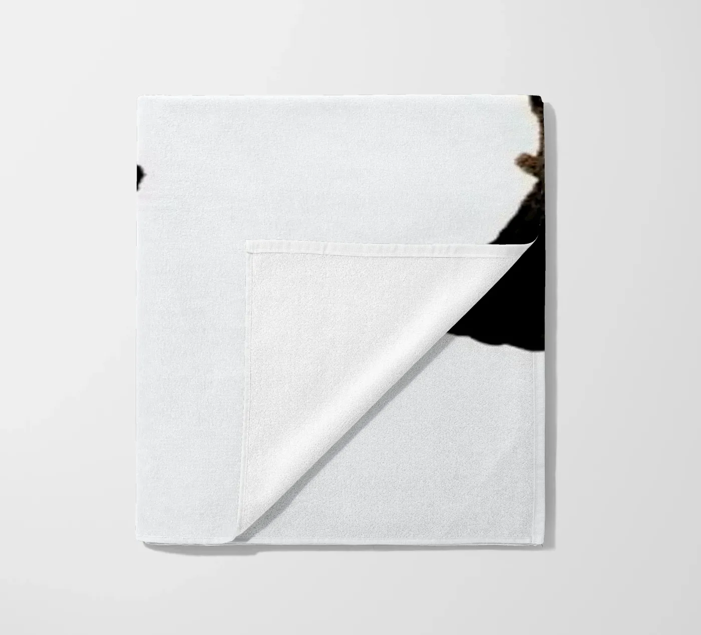 Hedgehog telo mare da Farina Kuklinski