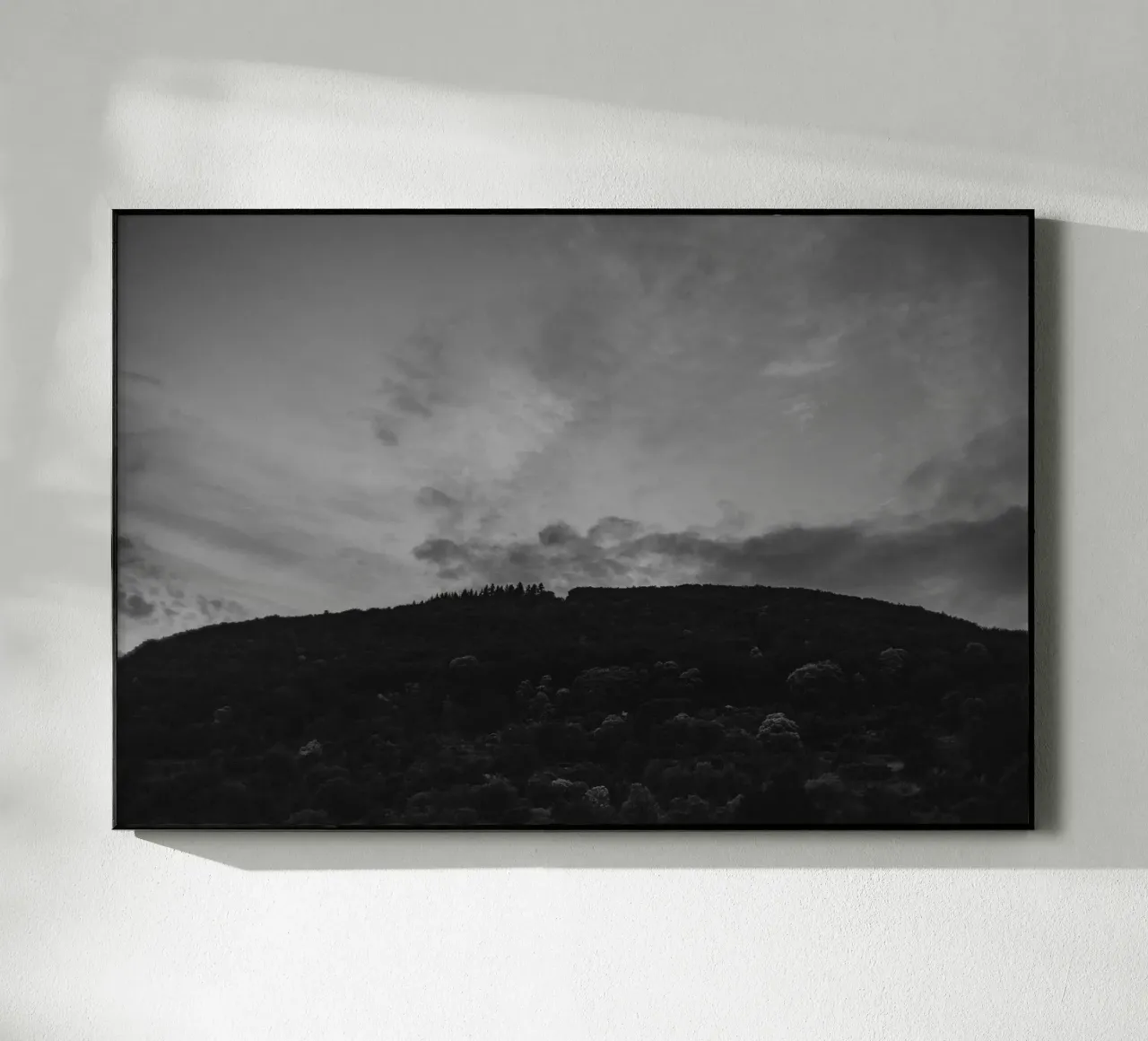 Heidelberg plexiglass da selfieswithlove