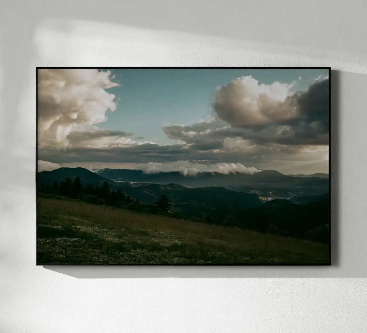 Schwarzwald plexiglass da selfieswithlove