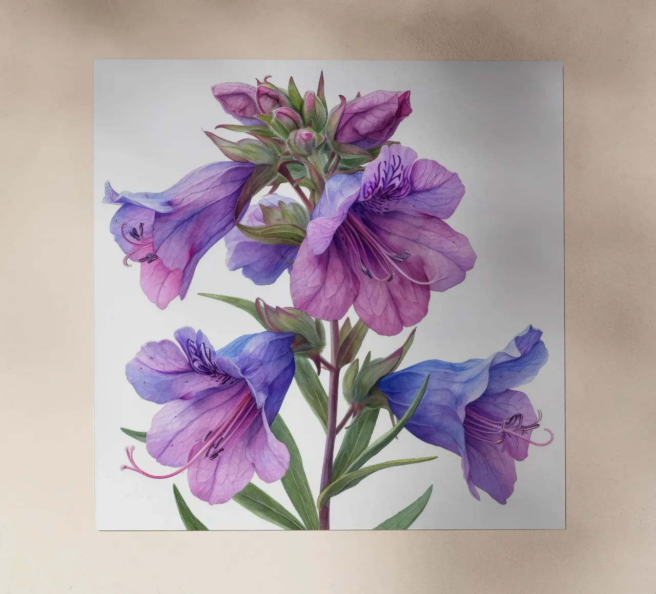 Penstemon fiore 2 pellicola backlit da Bold Blooms