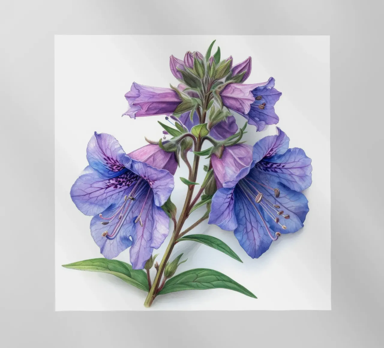 Penstemon fiore 3 pellicola backlit da Bold Blooms