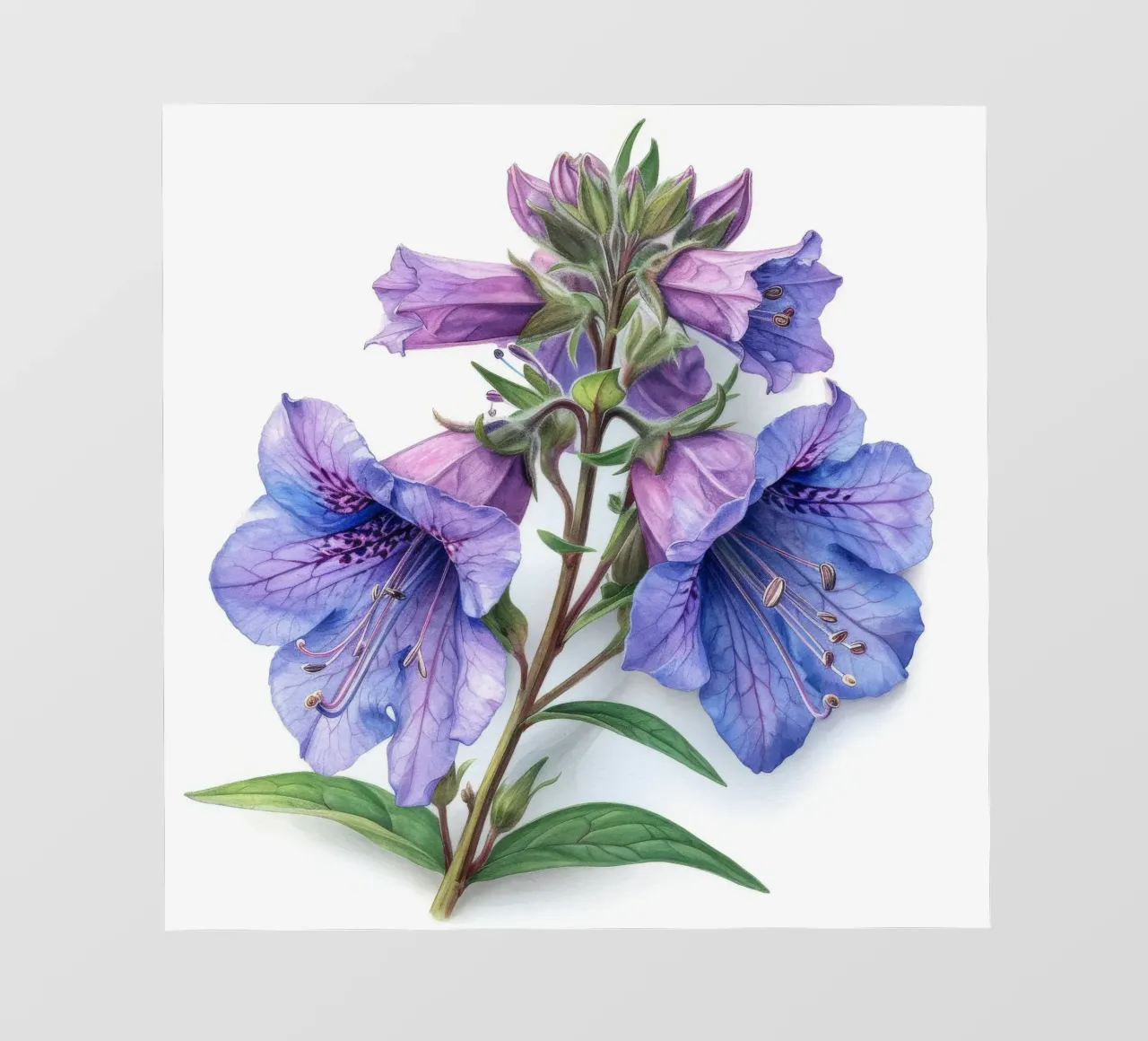 Penstemon fiore 3 telo in pvc da Bold Blooms