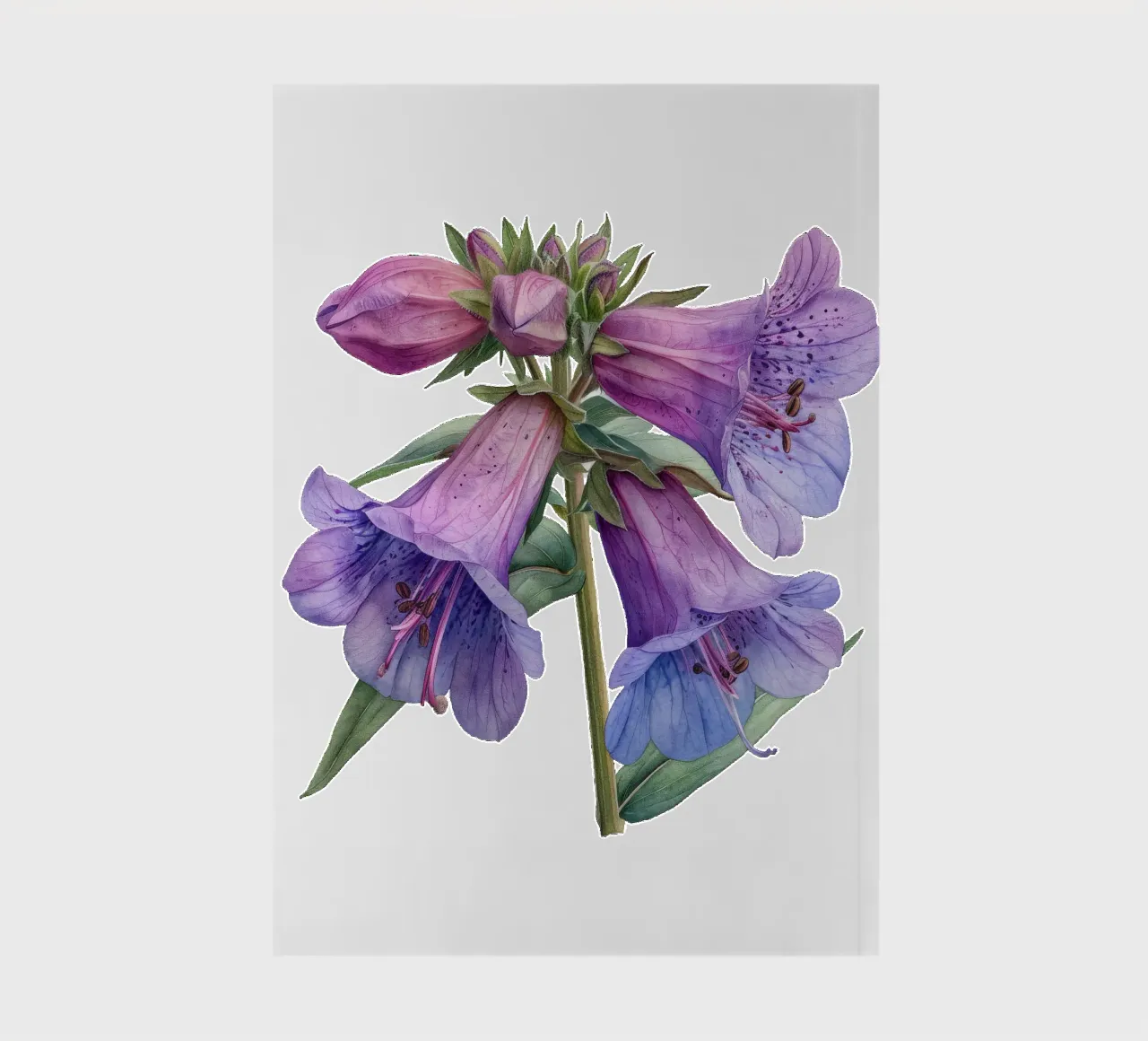 Penstemon Flower 1 notebook by Bold Blooms