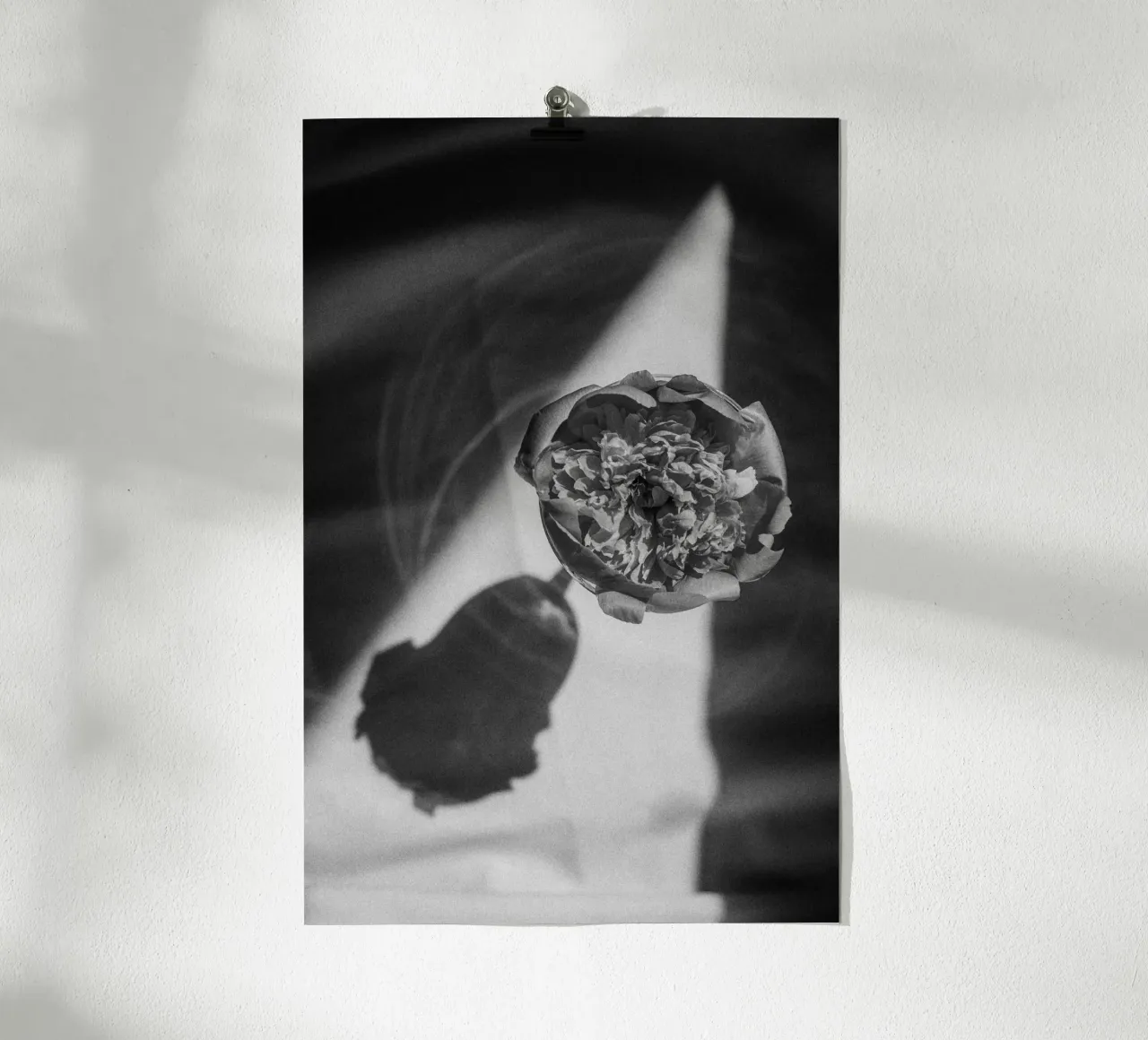 Flower In A Glass poster da selfieswithlove