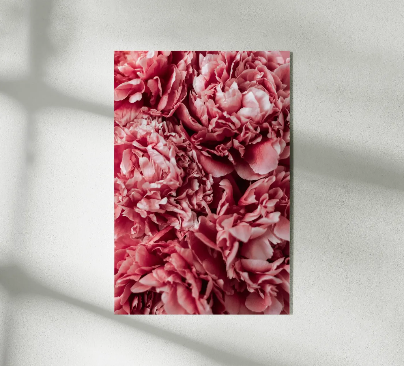 Pink Flowers plexiglass da hesmerstudio