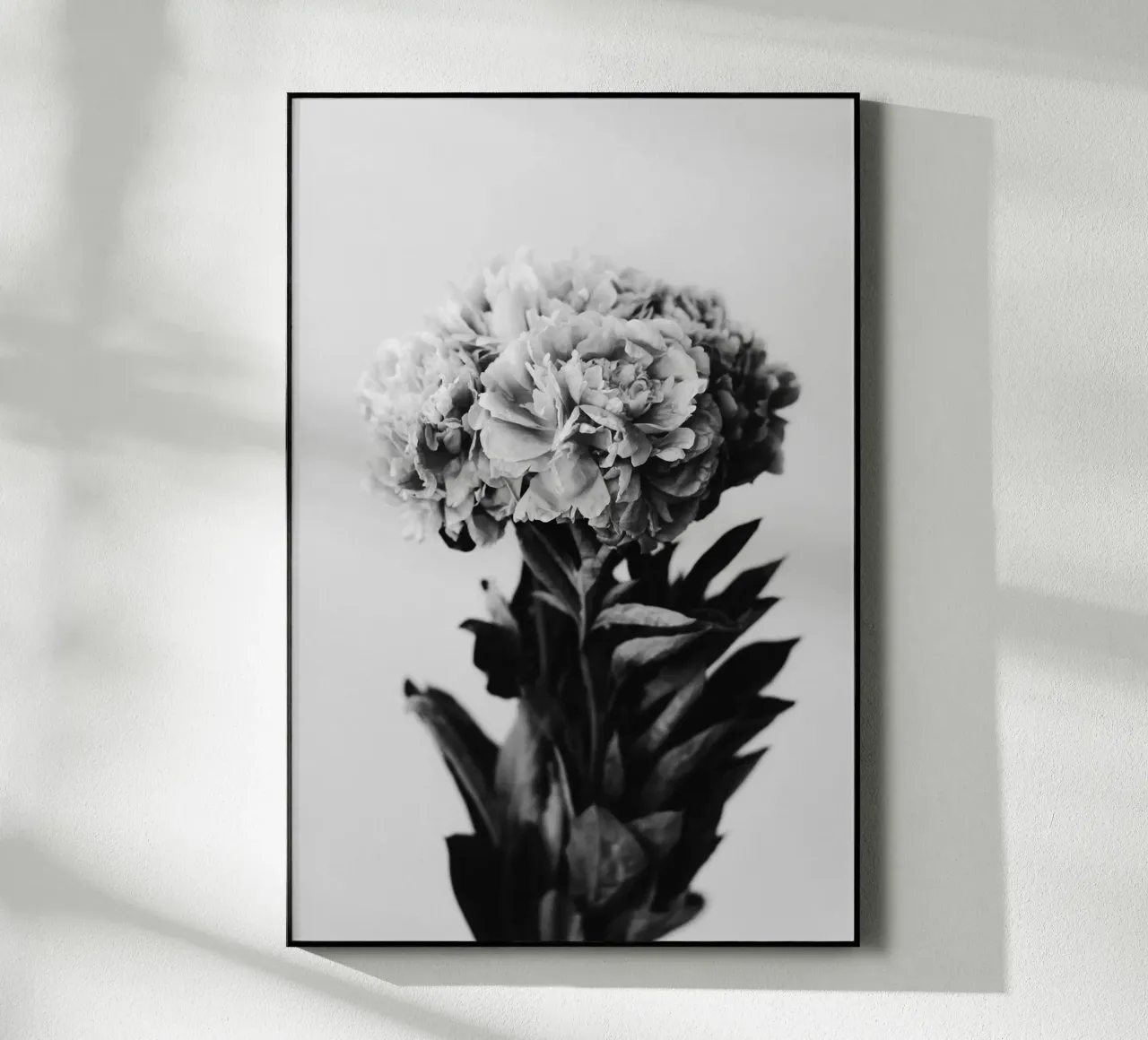 Peony plexiglass da selfieswithlove