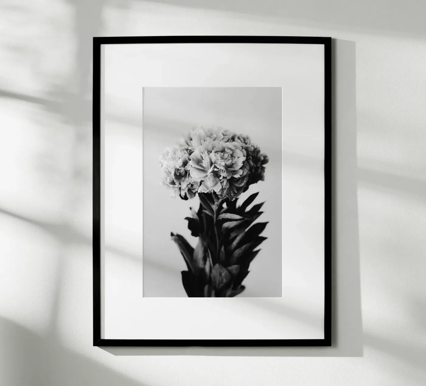 Peony poster by hesmerstudio