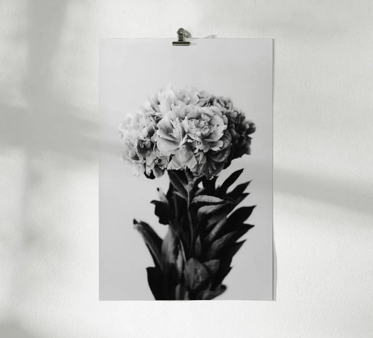 Peony poster con telaio in alluminio da selfieswithlove