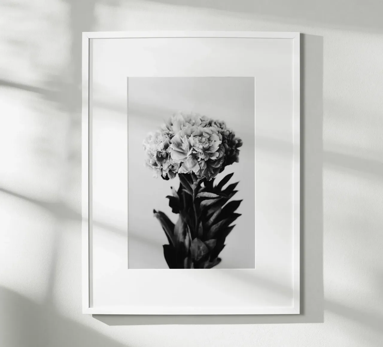 Peony poster con telaio in alluminio da selfieswithlove