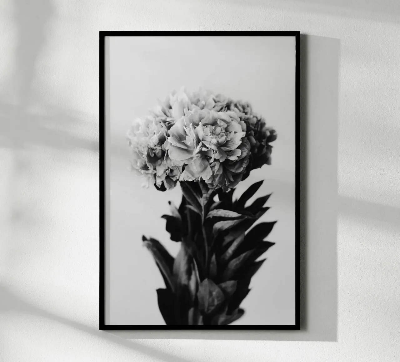 Peony poster con telaio in alluminio da selfieswithlove