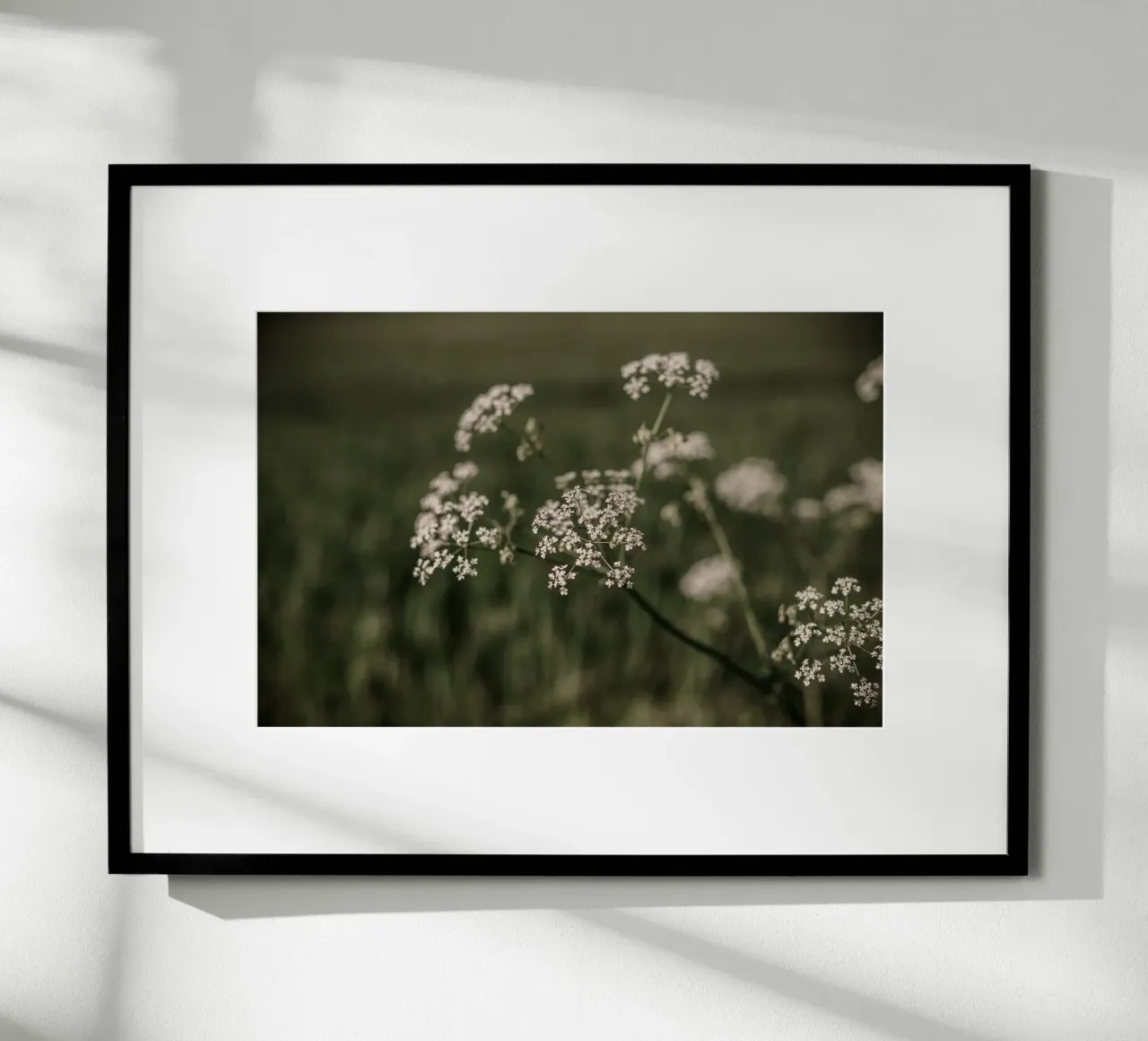 Elderberry carta hahnemühle da selfieswithlove