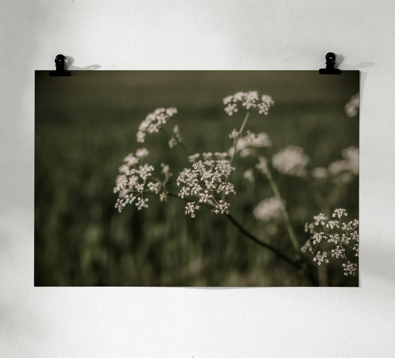 Elderberry carta hahnemühle da selfieswithlove