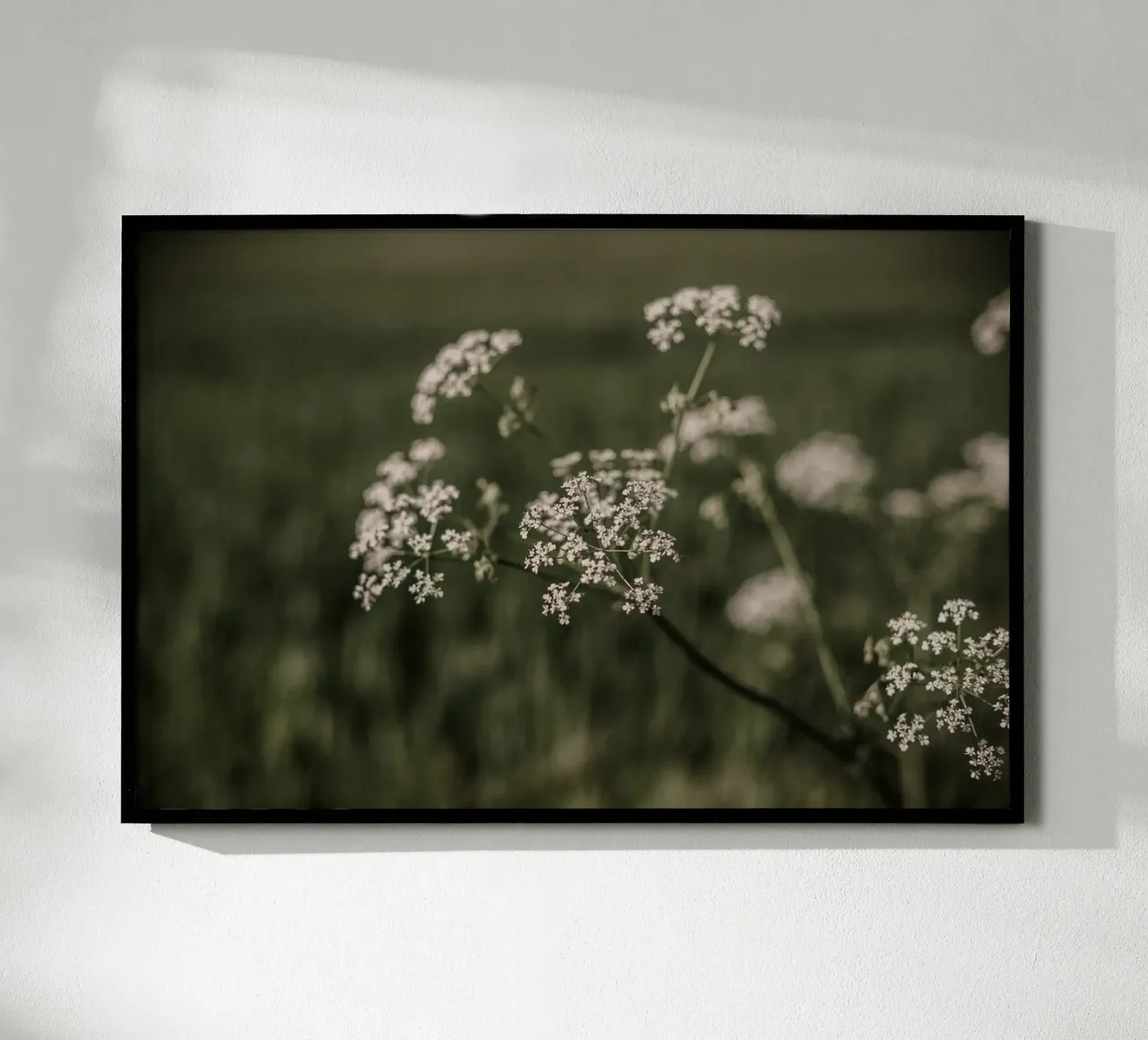 Elderberry carta hahnemühle da selfieswithlove