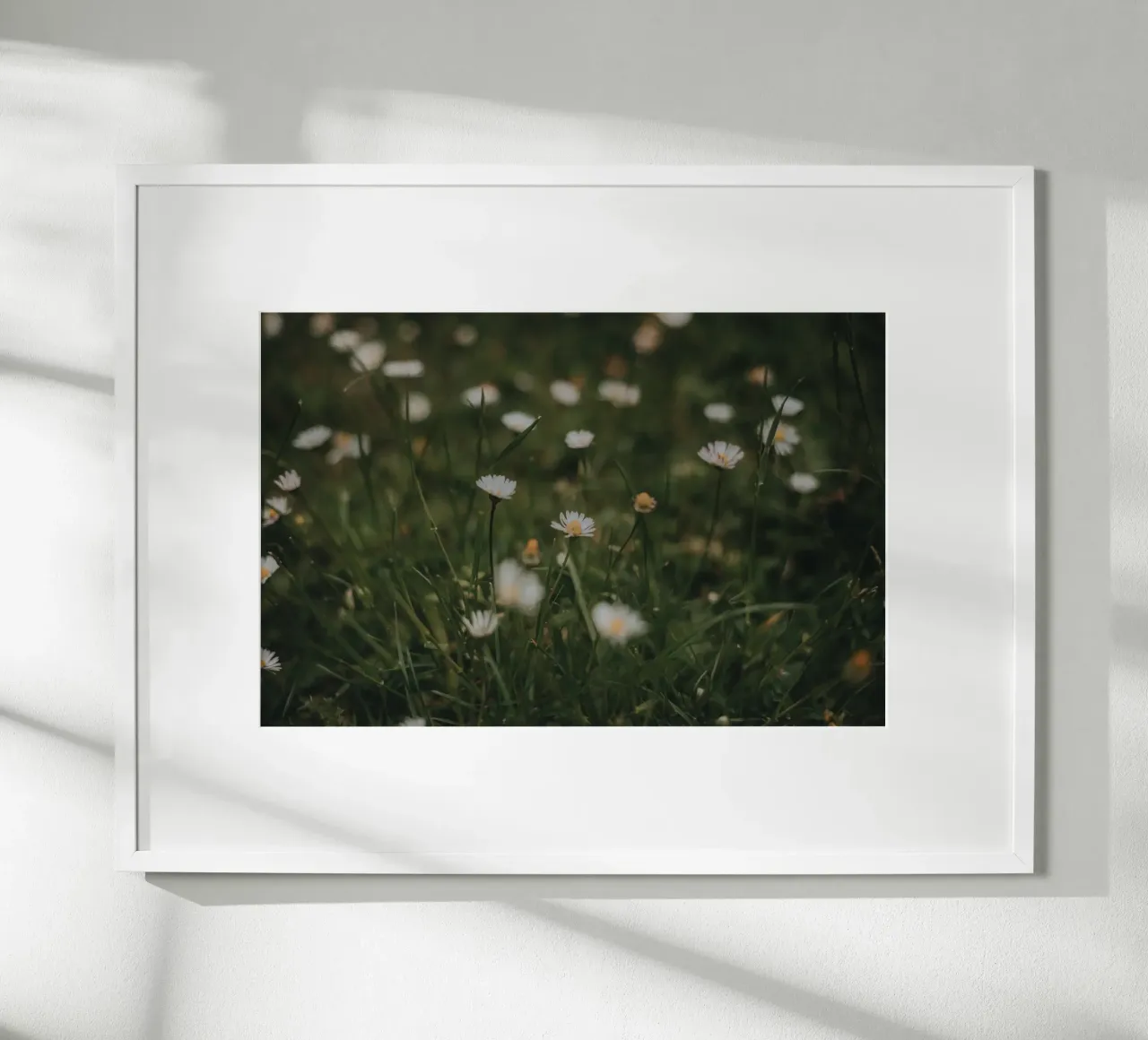 Daisies poster da selfieswithlove