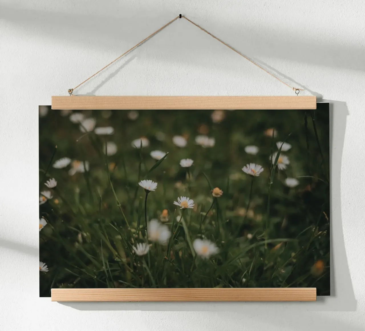 Daisies poster da selfieswithlove