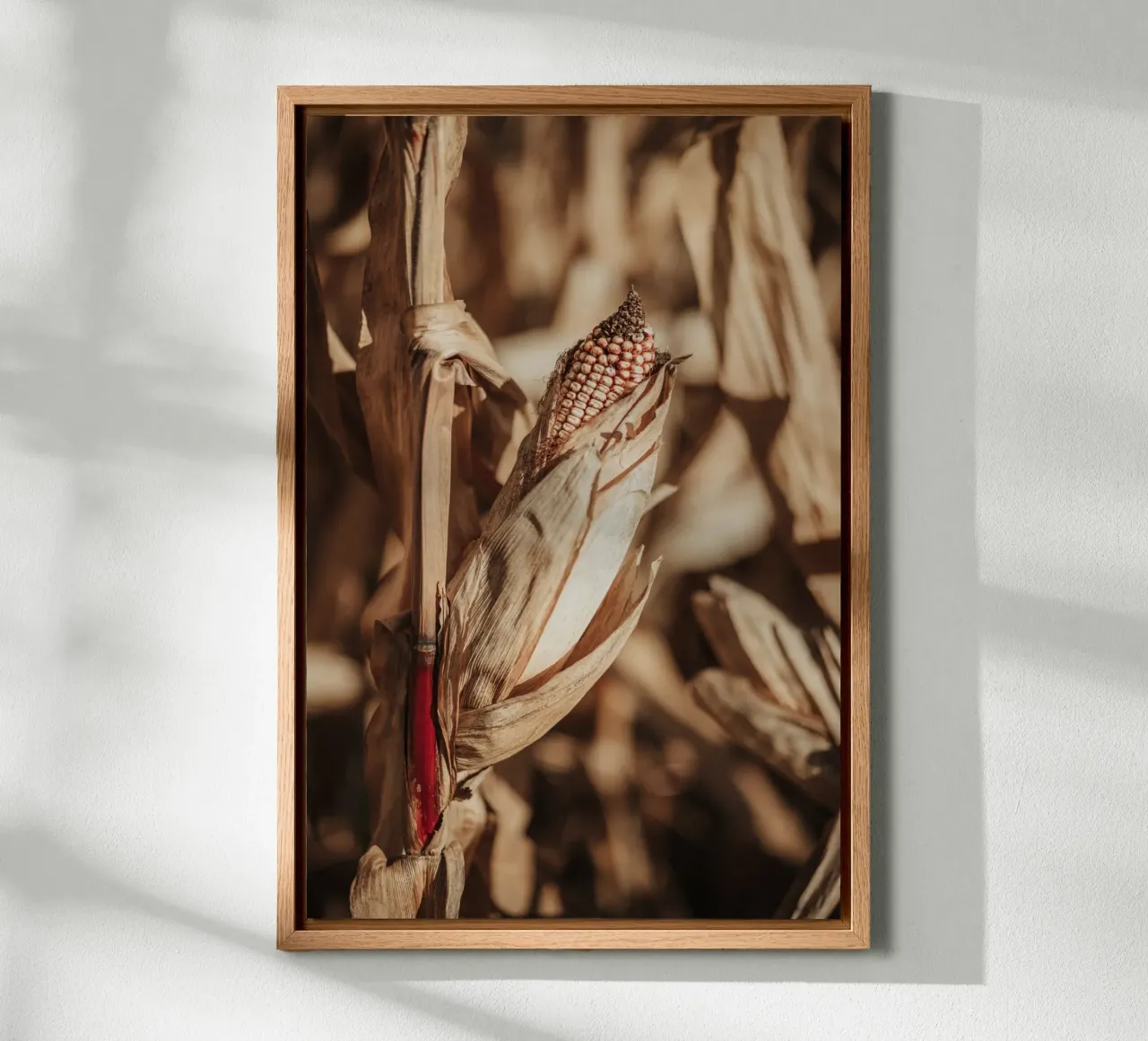 Corn forex plate by selfieswithlove