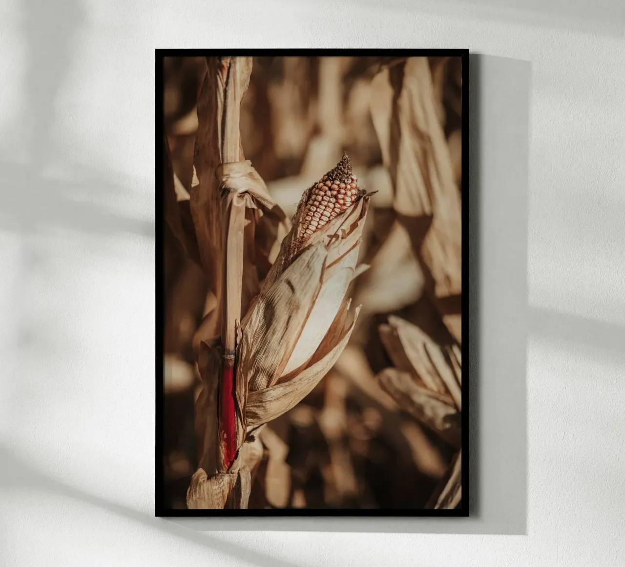 Corn poster da selfieswithlove