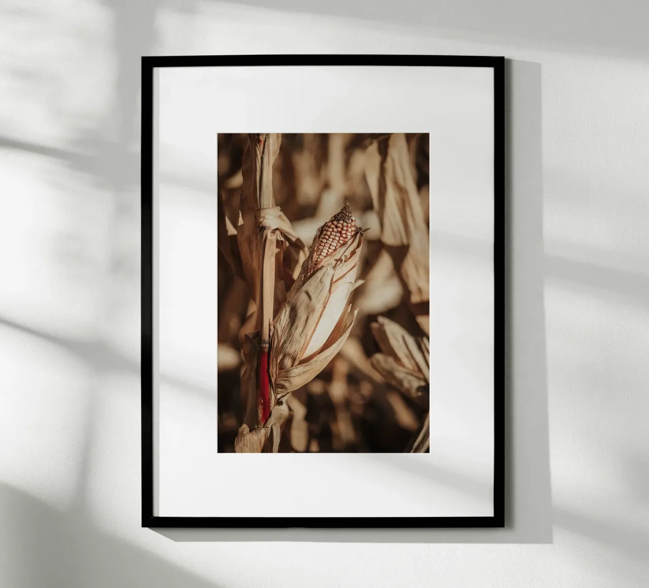 Corn poster da selfieswithlove