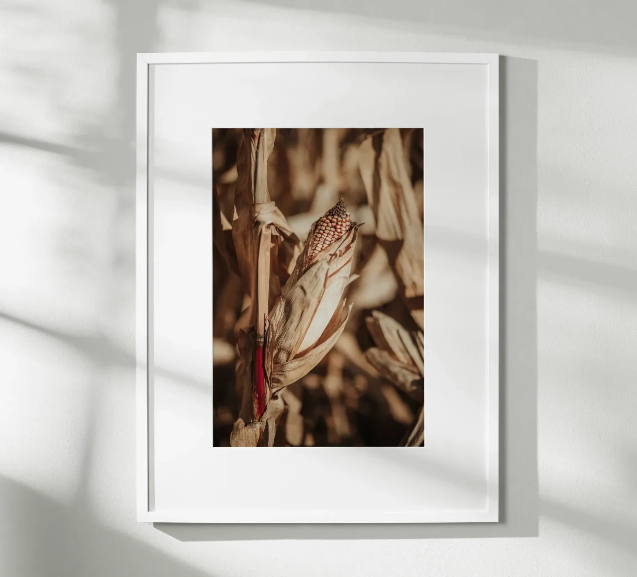 Corn poster da selfieswithlove