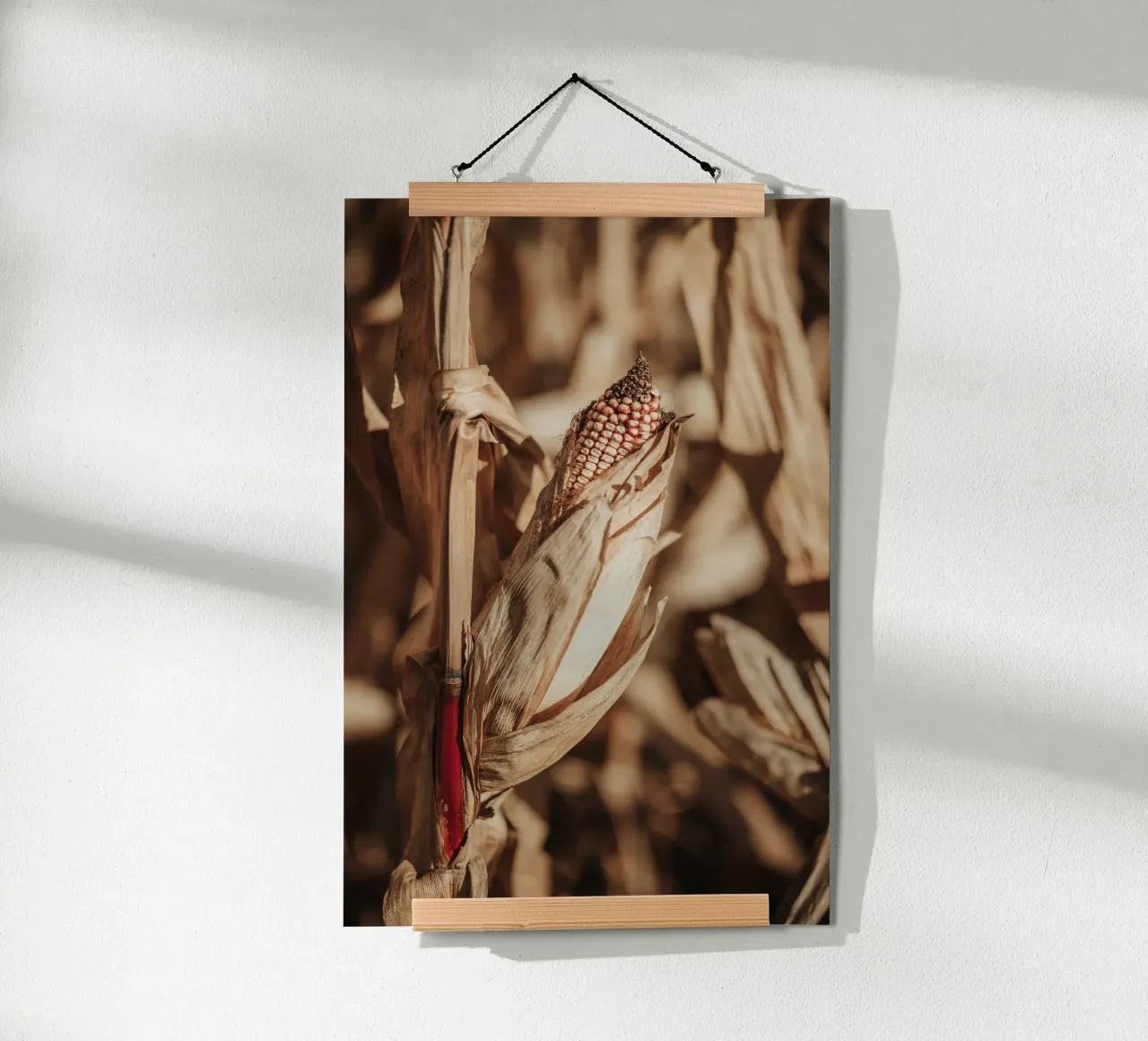 Corn poster da selfieswithlove