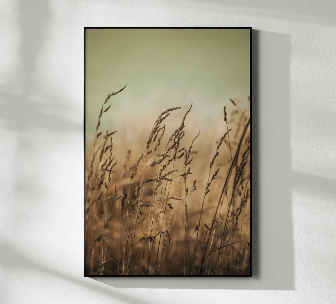 Pretty Field plexiglass da selfieswithlove