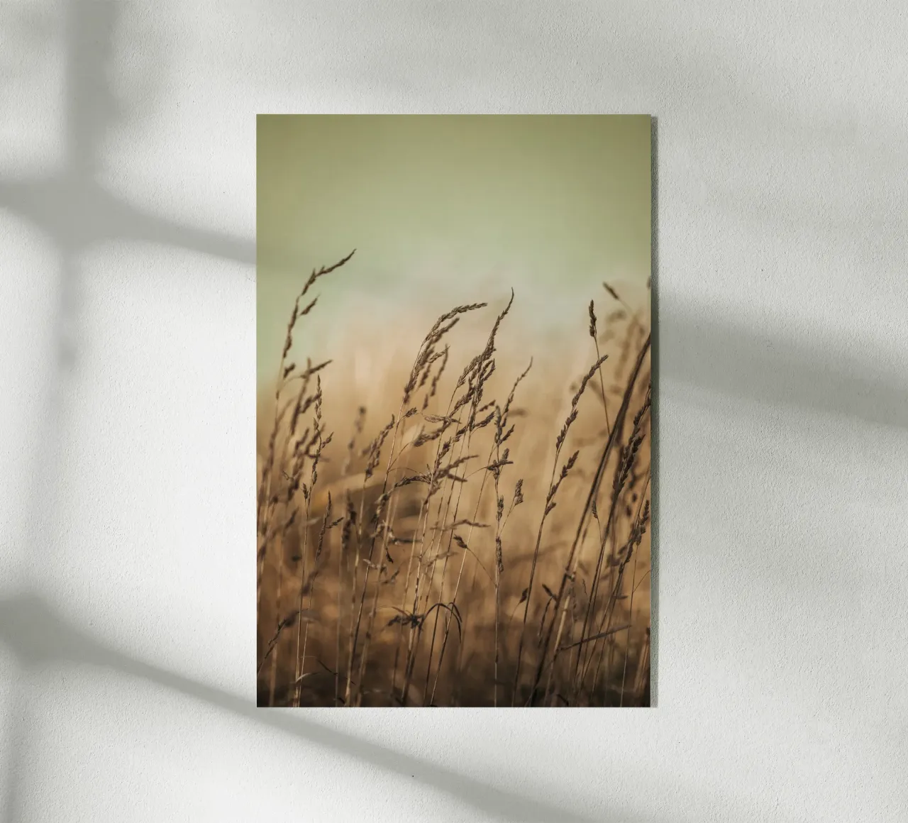 Pretty Field plexiglass da selfieswithlove