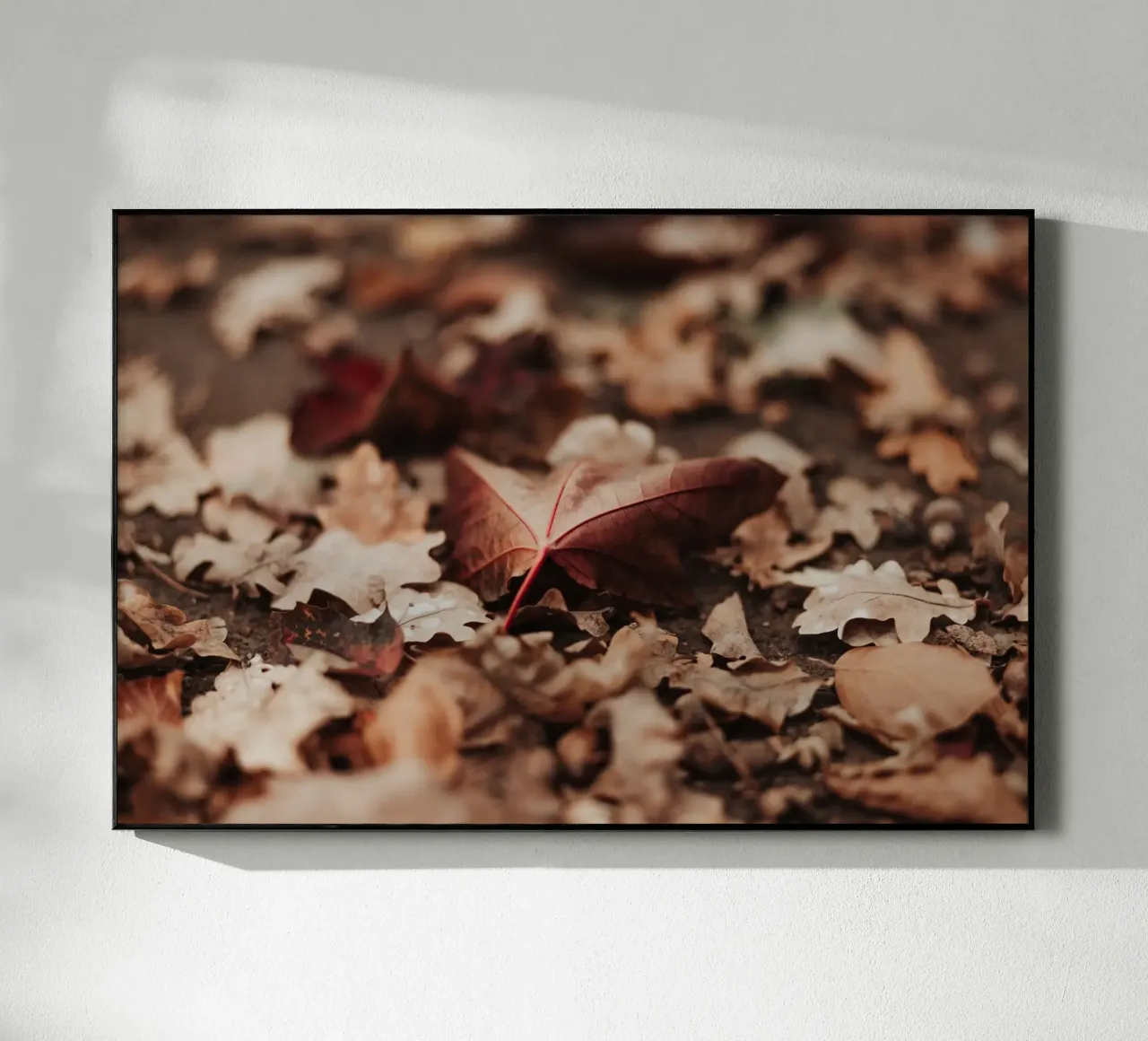 Fallen Leaves plexiglass da selfieswithlove