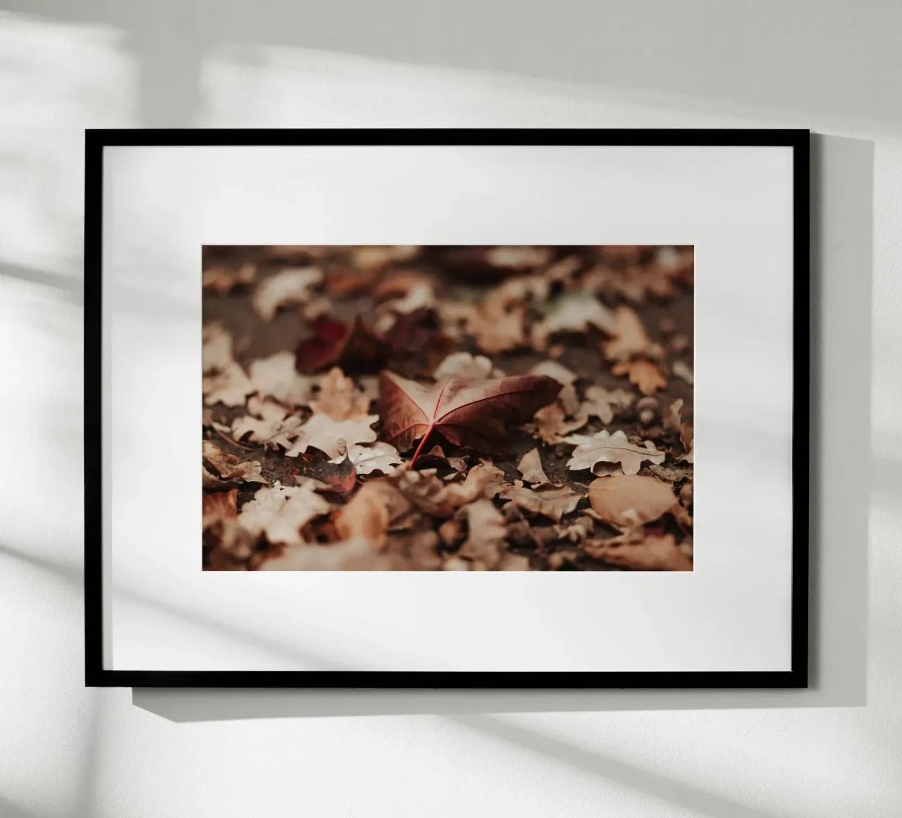 Fallen Leaves carta hahnemühle da selfieswithlove