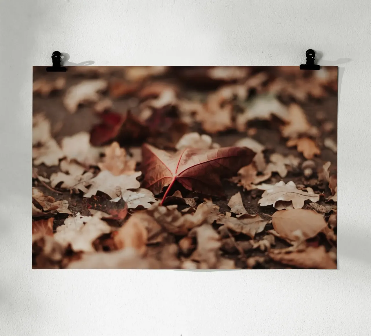 Fallen Leaves poster da selfieswithlove