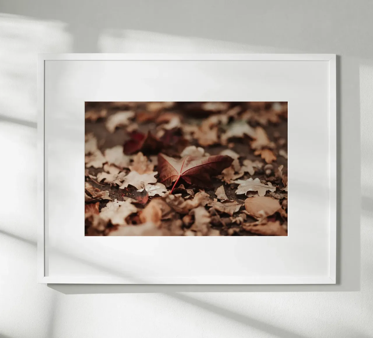 Fallen Leaves poster da selfieswithlove