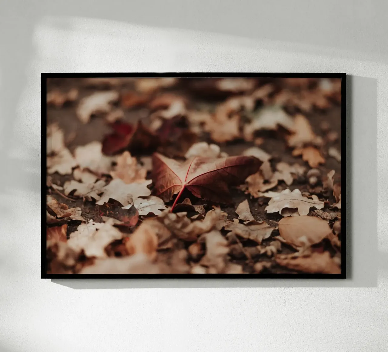 Fallen Leaves carta hahnemühle da selfieswithlove