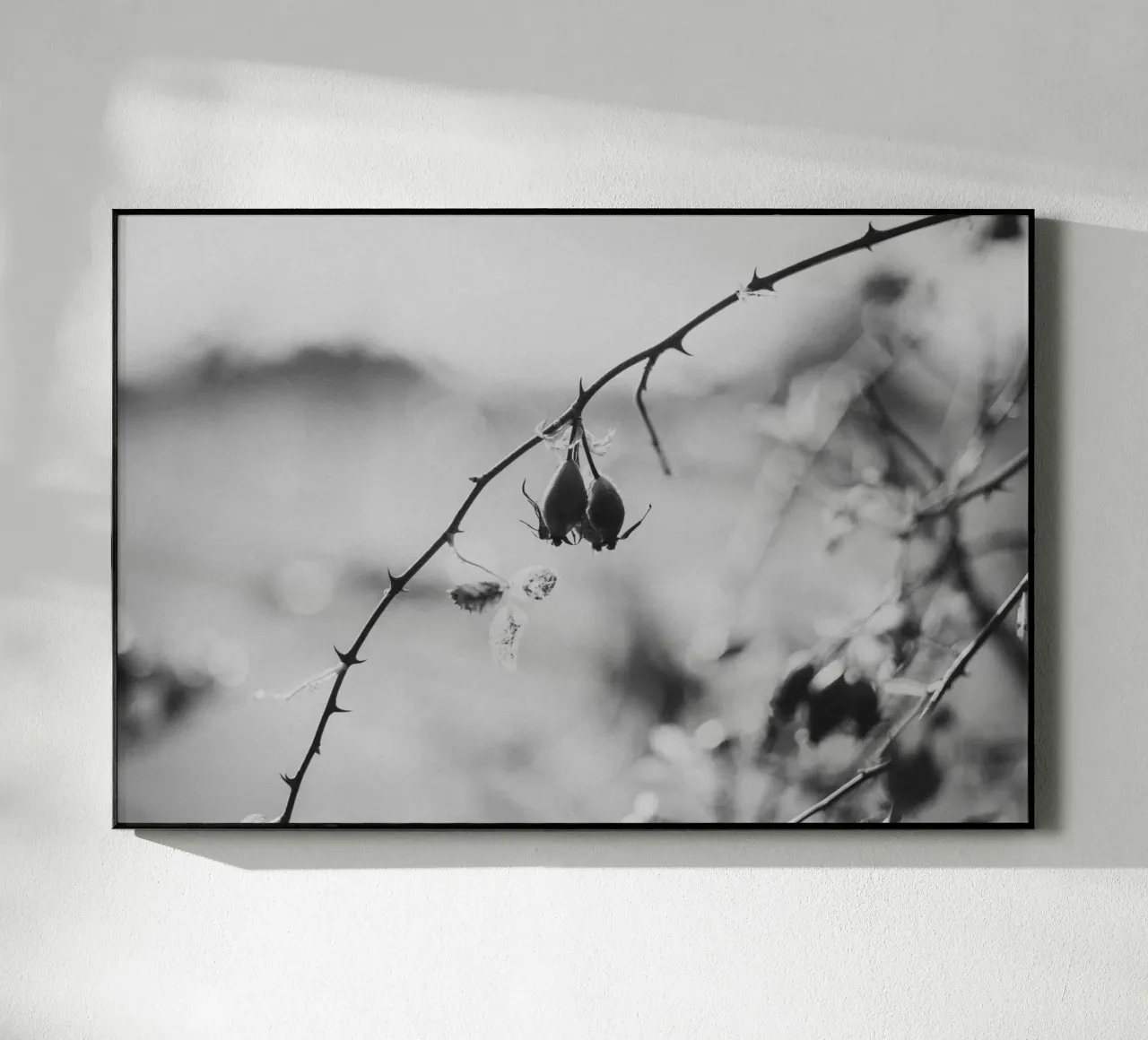 Rose Hip plexiglass da selfieswithlove