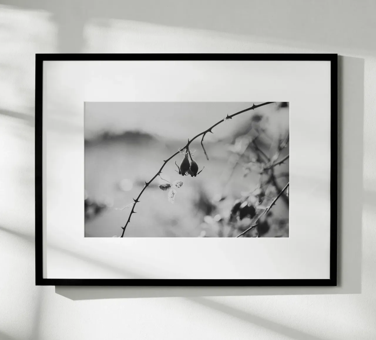 Rose Hip poster con telaio in legno da selfieswithlove