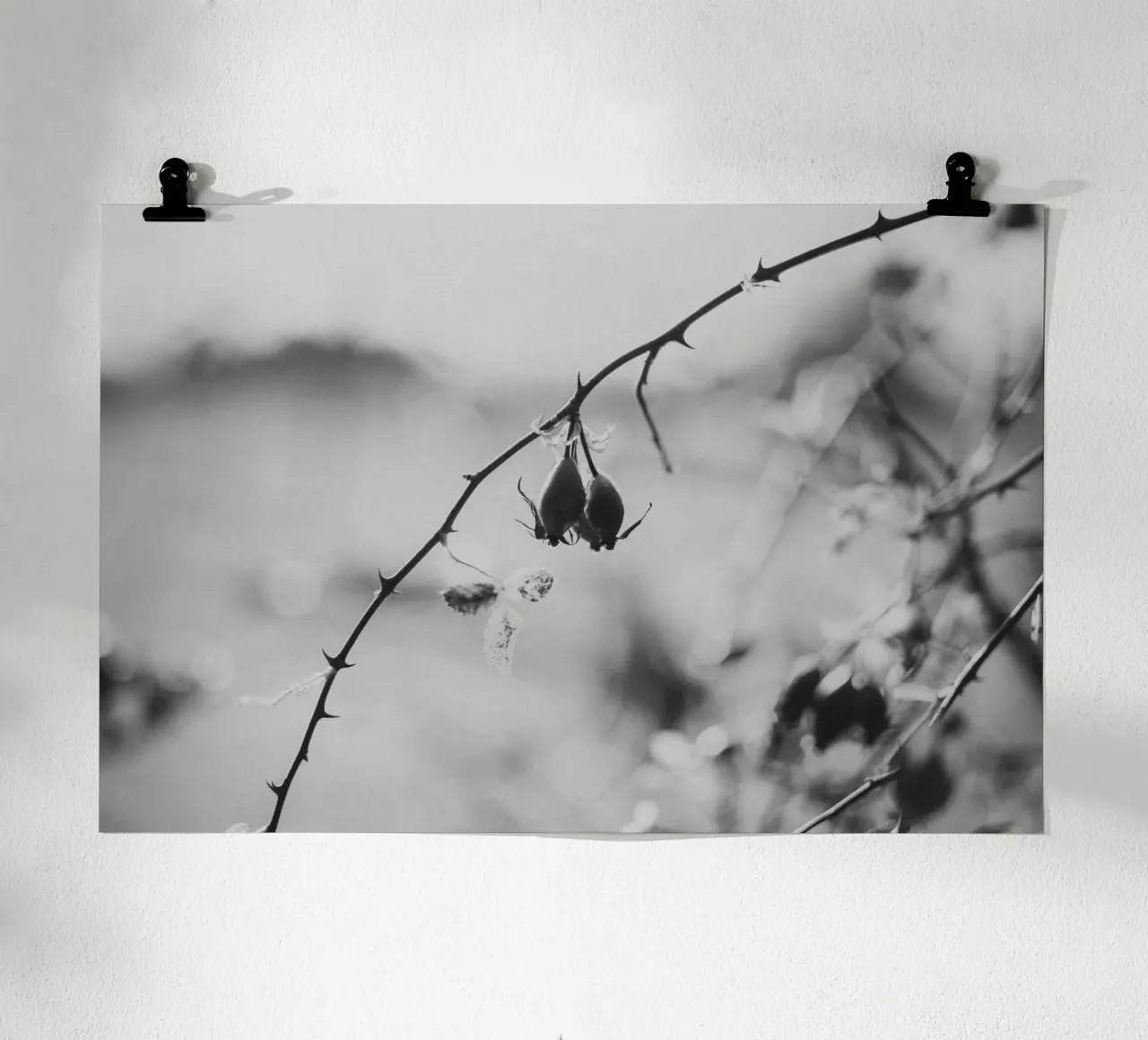 Rose Hip poster con telaio in legno da selfieswithlove