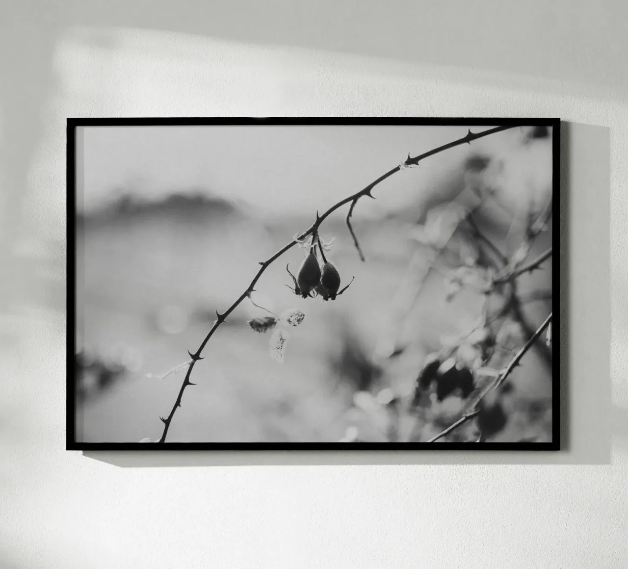 Rose Hip poster con telaio in legno da selfieswithlove