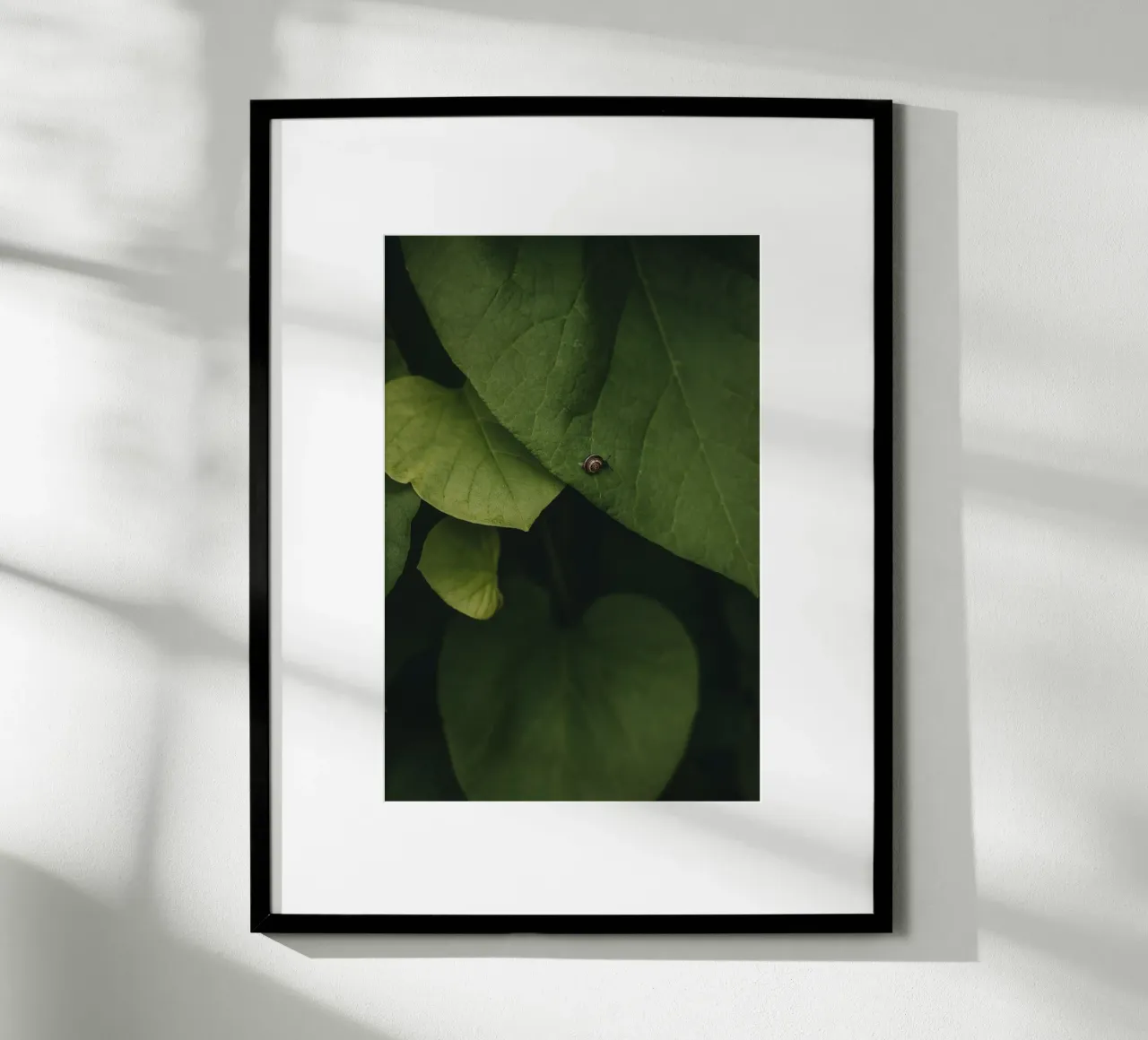 Little Snail poster da selfieswithlove