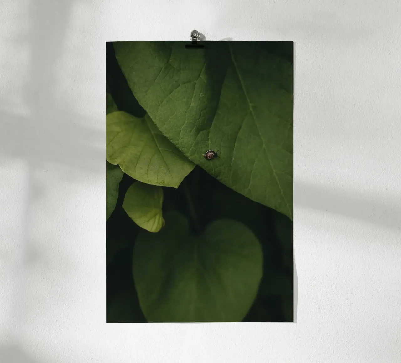 Little Snail poster da selfieswithlove