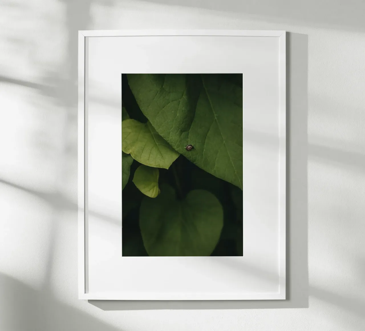 Little Snail poster da selfieswithlove