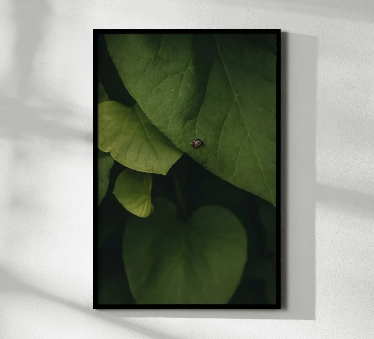 Little Snail poster da selfieswithlove