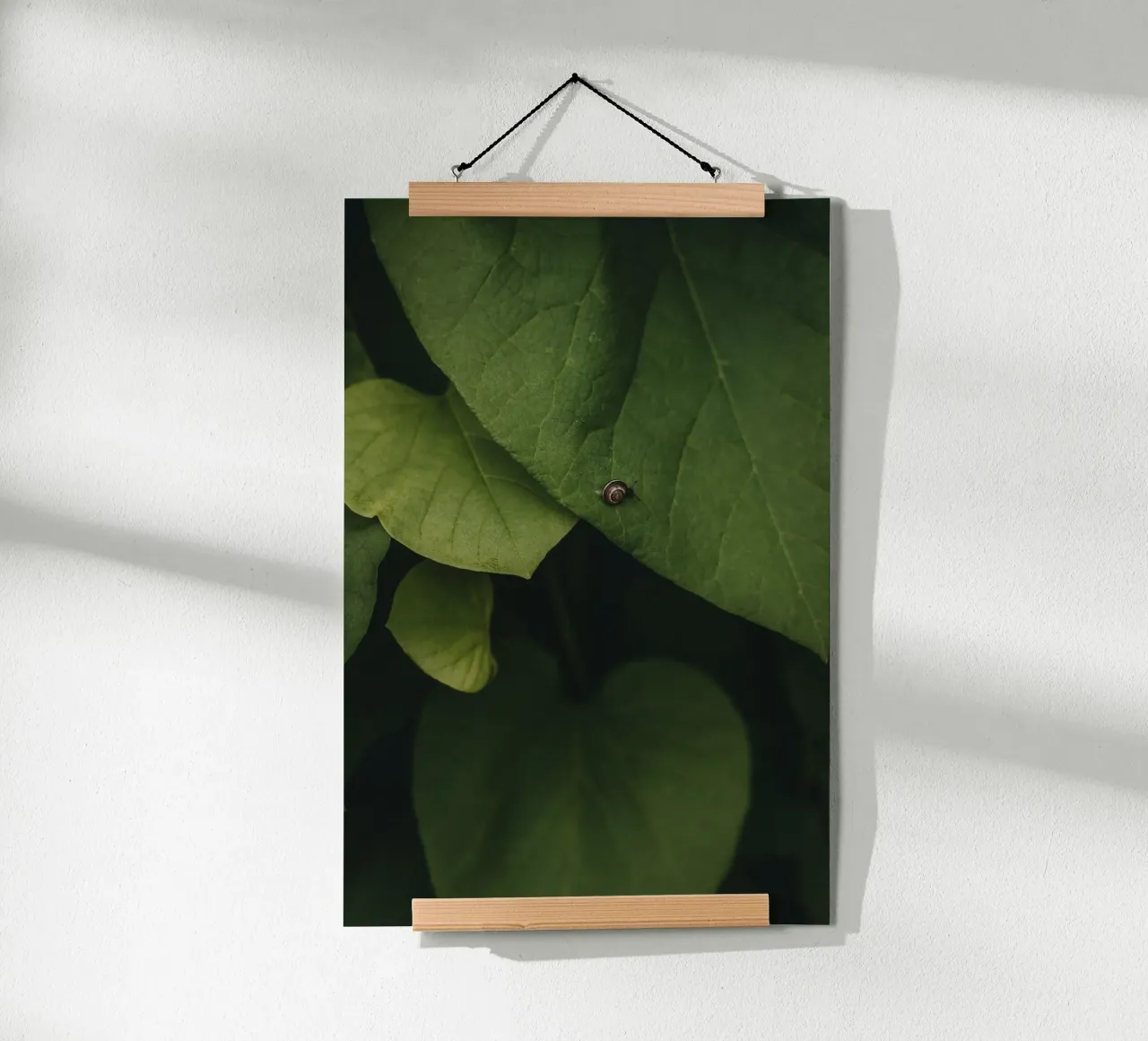 Little Snail poster da selfieswithlove