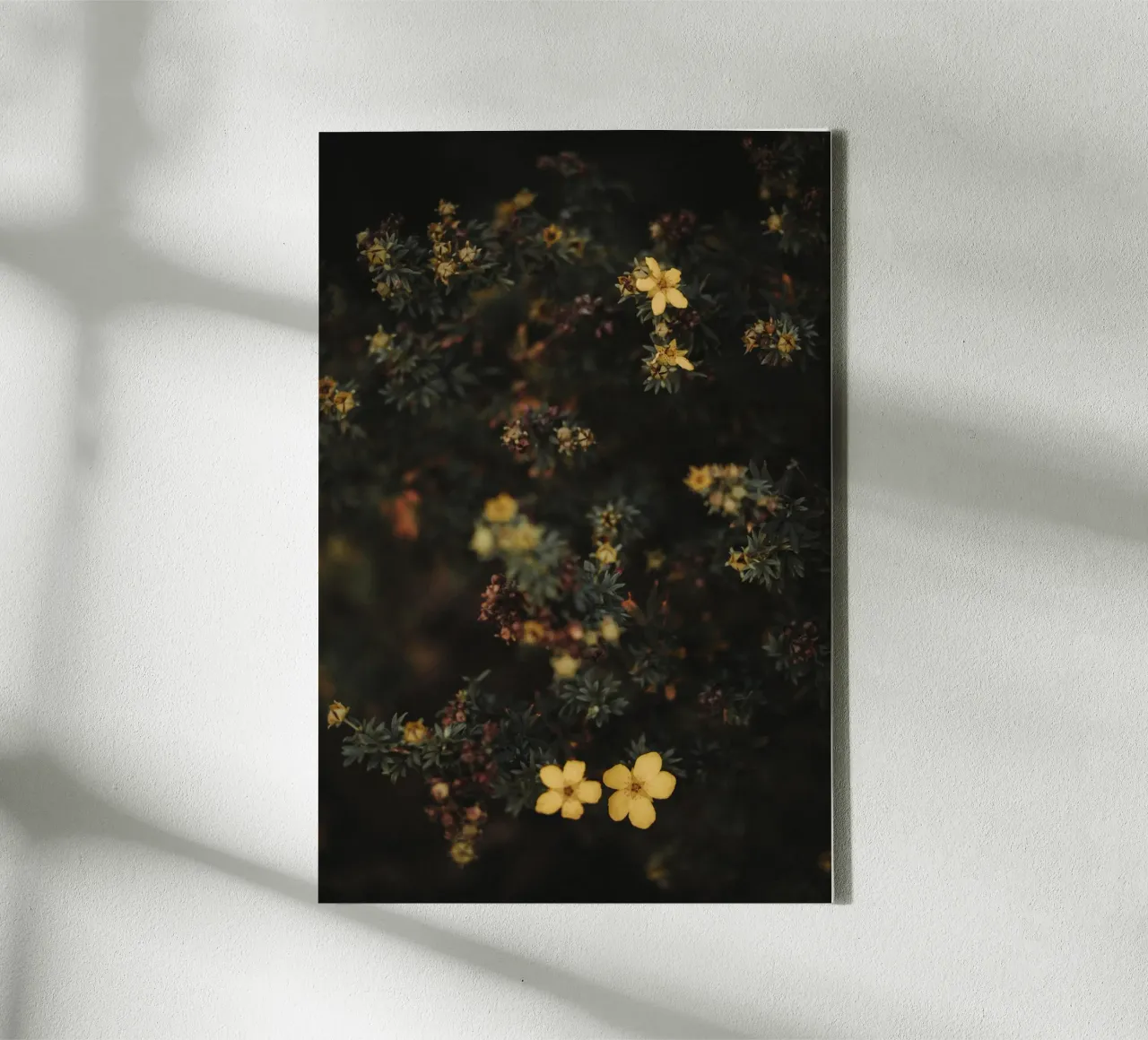 Moody Flowers Pt. I Leinwand mit Schattenfugenrahmen von selfieswithlove