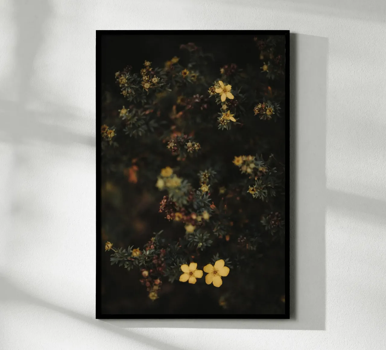 Moody Flowers Pt. I poster da selfieswithlove