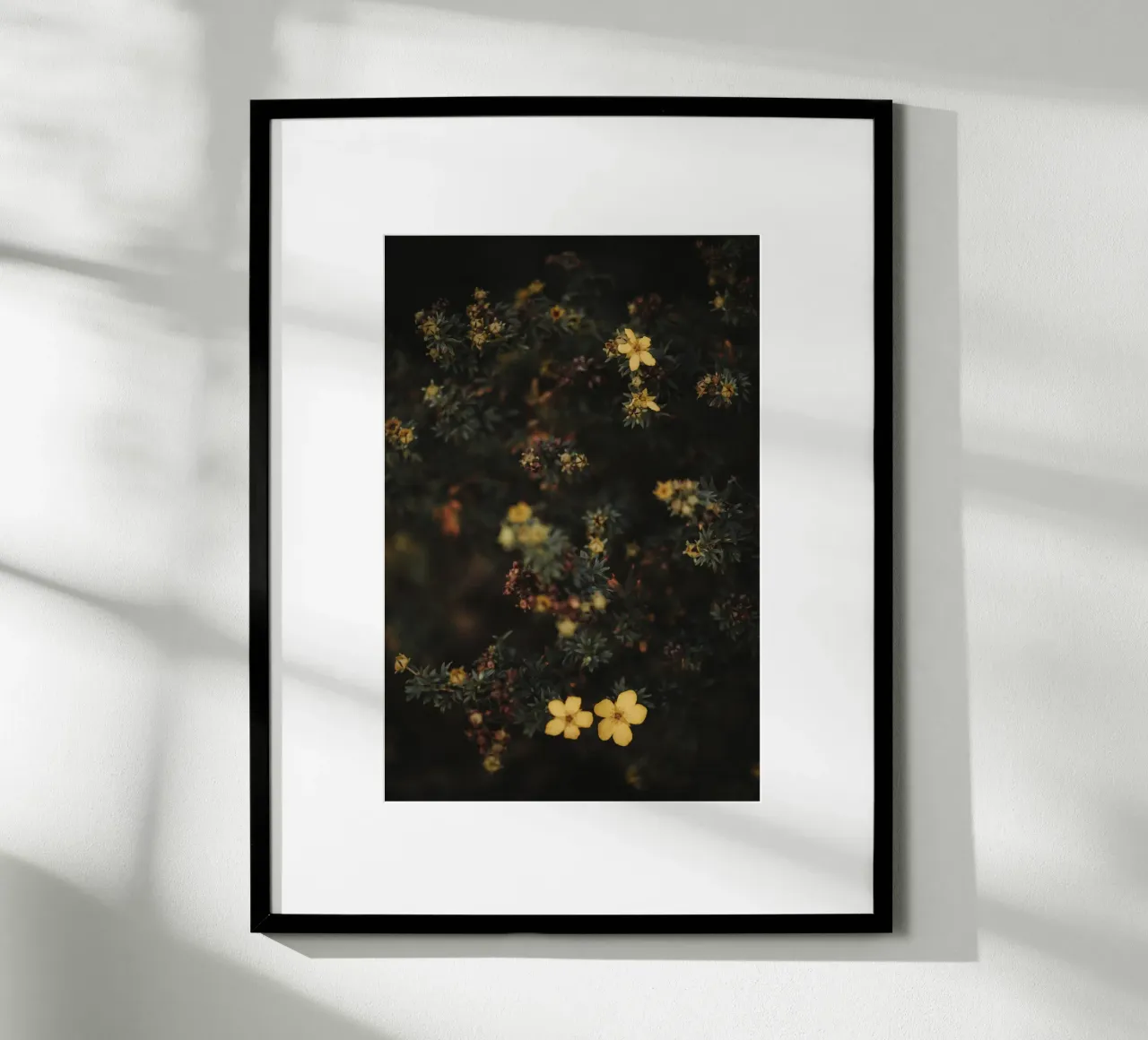 Moody Flowers Pt. I poster da selfieswithlove