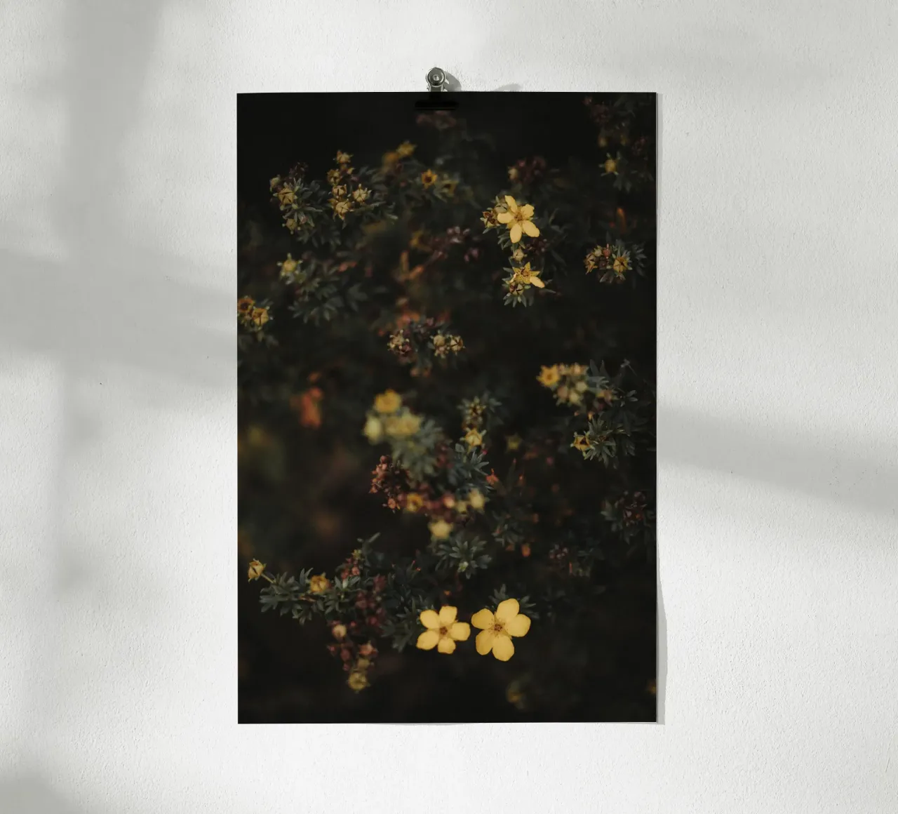 Moody Flowers Pt. I poster da selfieswithlove