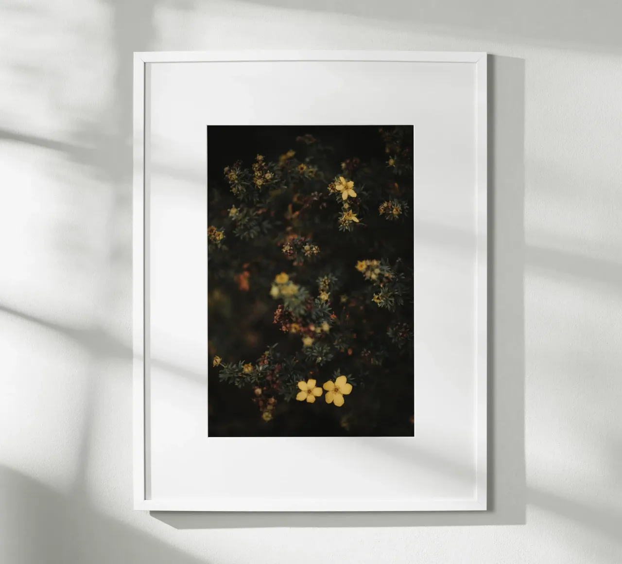 Moody Flowers Pt. I poster da selfieswithlove