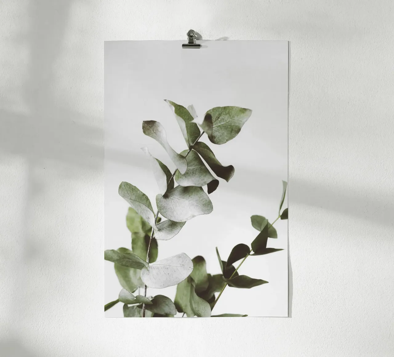 Eucalyptus Pt. I Poster von selfieswithlove