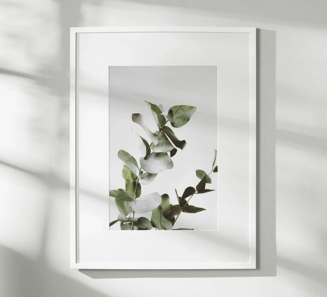 Eucalyptus Pt. I Poster von selfieswithlove