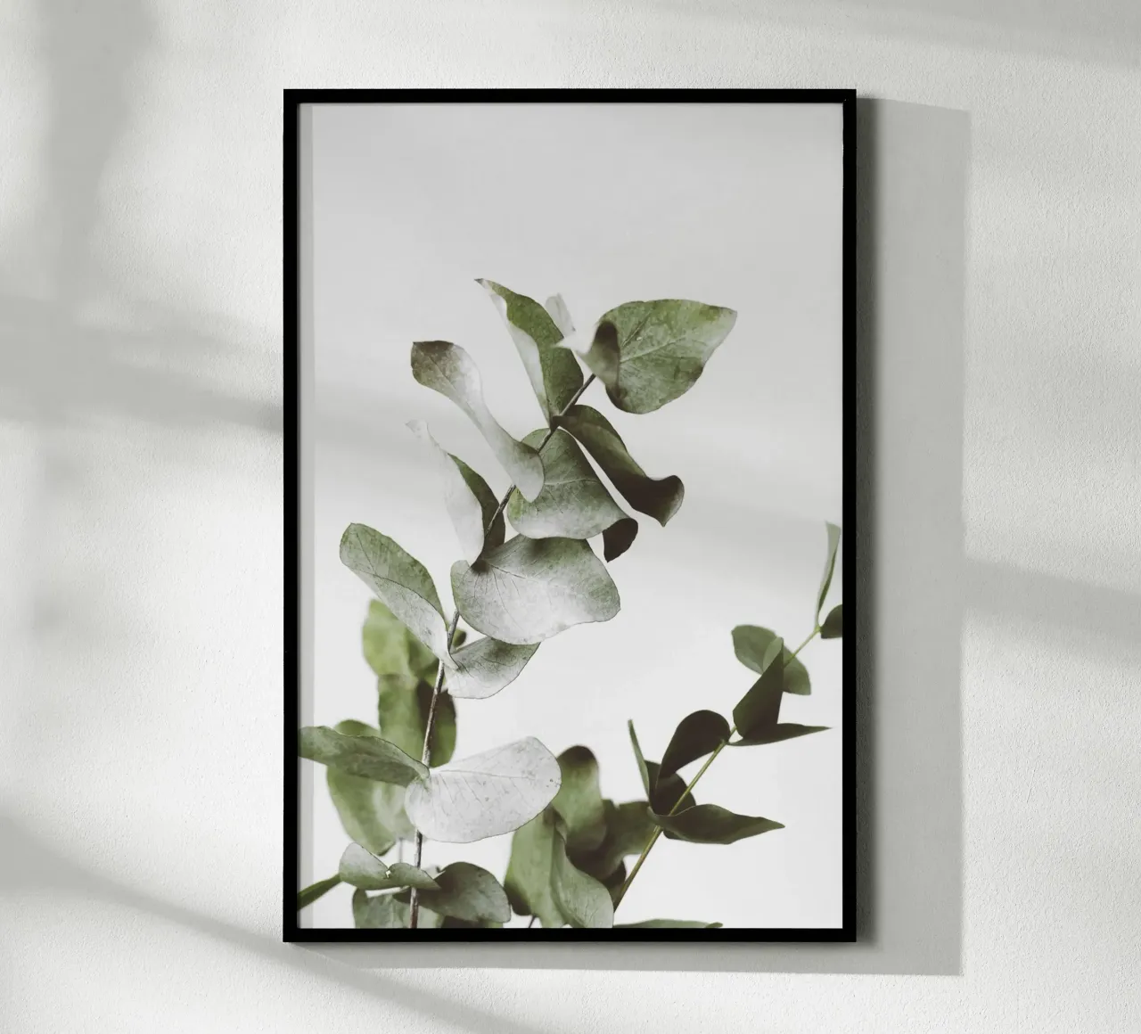 Eucalyptus Pt. I carta hahnemühle da selfieswithlove
