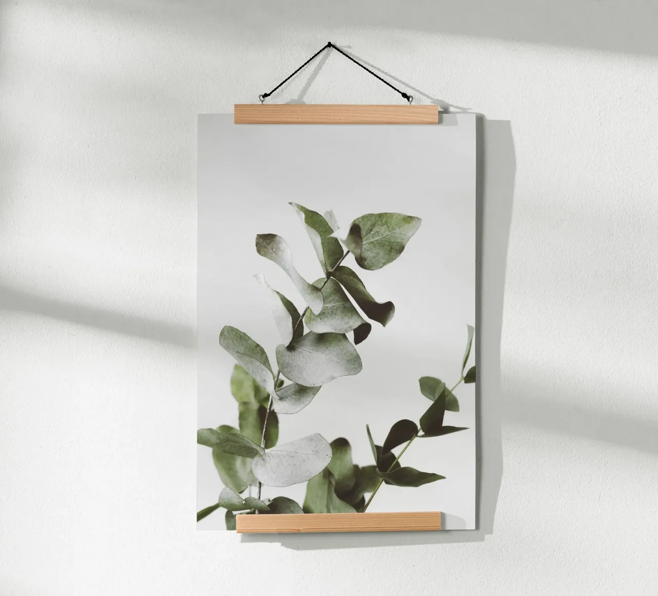 Eucalyptus Pt. I Poster von selfieswithlove